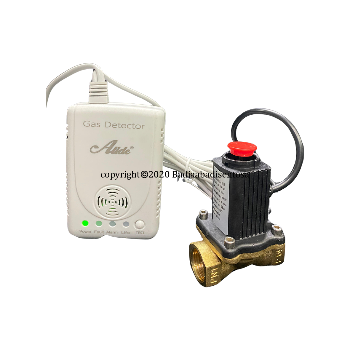 Alide - Gas Detector & Solenoid Valve